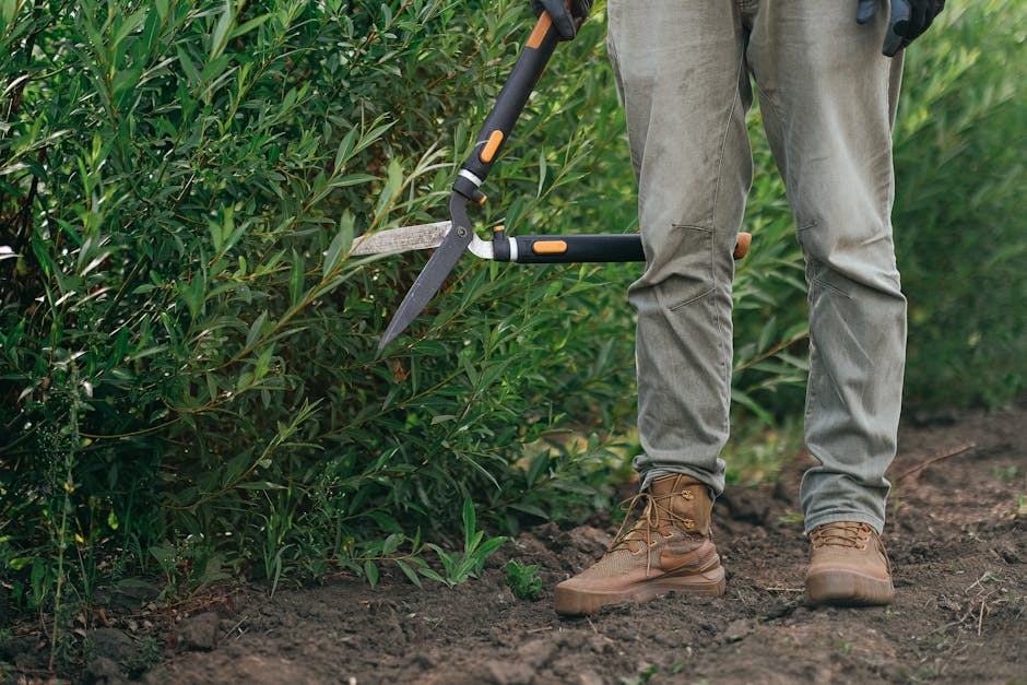 Close-up of a gardener using shears to trim bushes outdoors. Perfect for gardening themes.